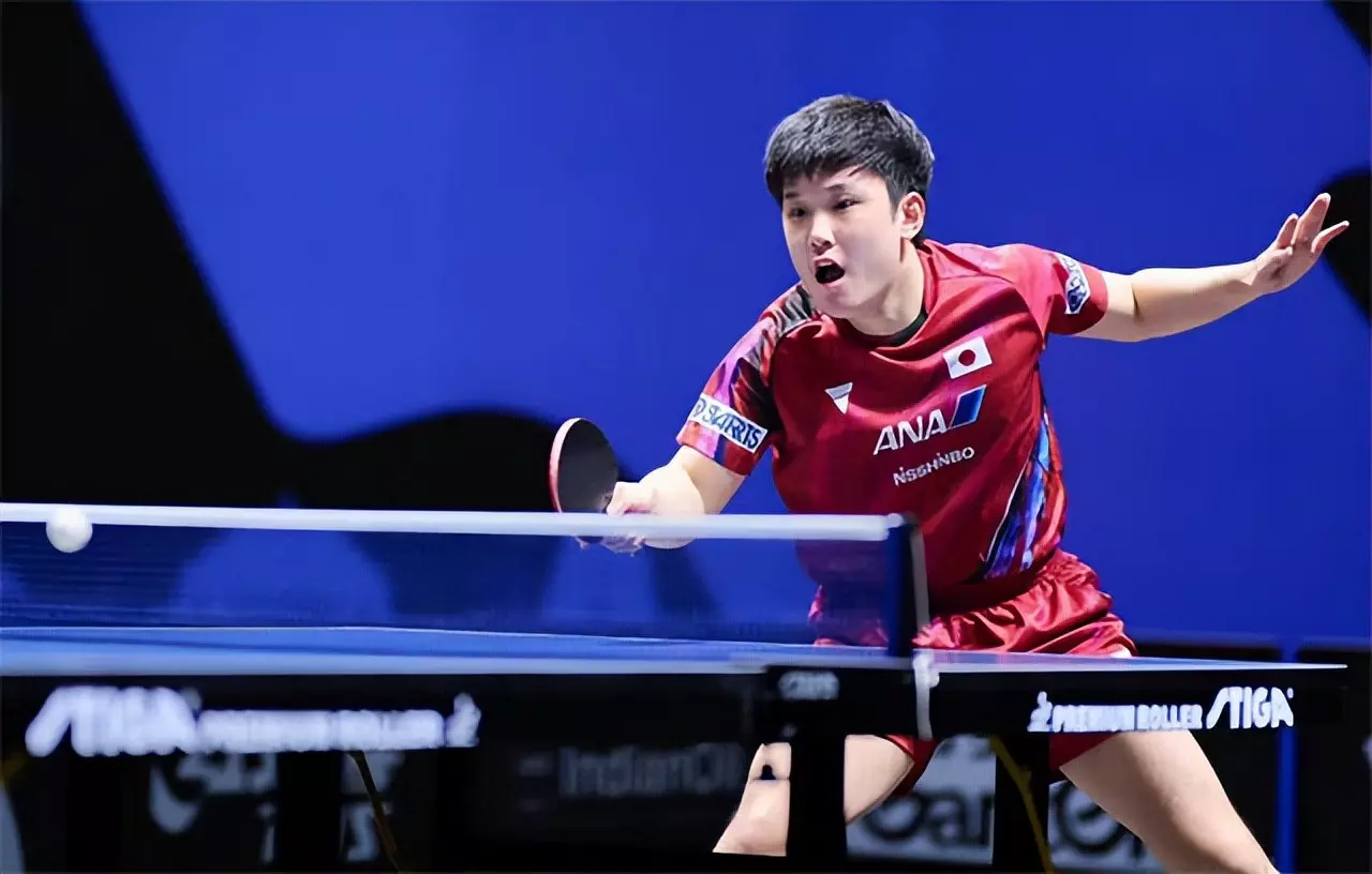 开云APP-韩国队力克波兰队，张本智和点燃赛场